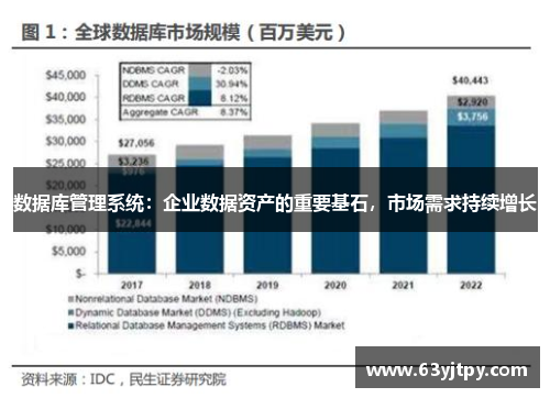 数据库管理系统：企业数据资产的重要基石，市场需求持续增长